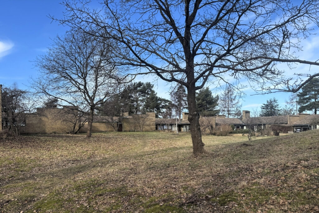 Museumsgruppen på udflugt til Romerhusene