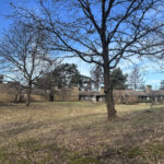 Museum group on an excursion to the Roman Houses